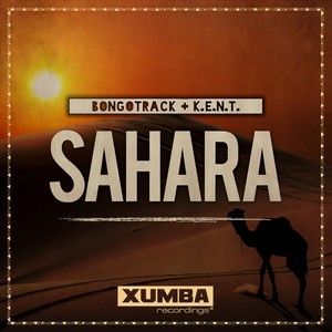 Sahara (DJ Lucerox Remix|Remix)