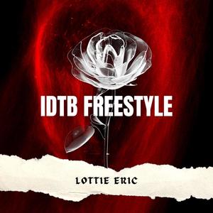 Idtb freestyle