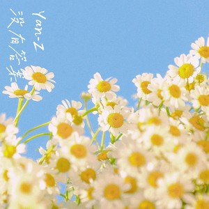 没有答案
