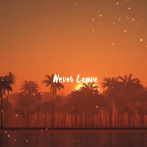 Never Leave (feat. Jayden Salas)