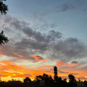 Turned Sensei (feat. Don Quan) (Explicit)