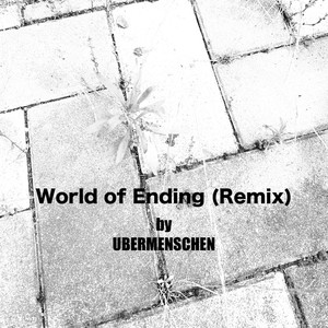 World of Ending (Remix)