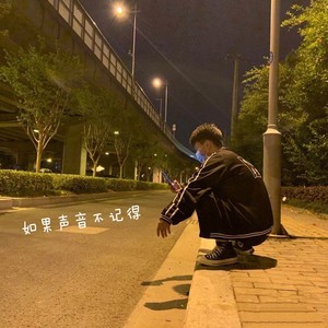 如果声音不记得