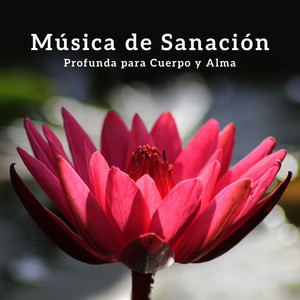 Música de Sanación Profunda para Cuerpo y Alma: Relajante Música de Meditación