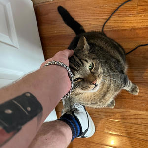 a wayward smile (Explicit)