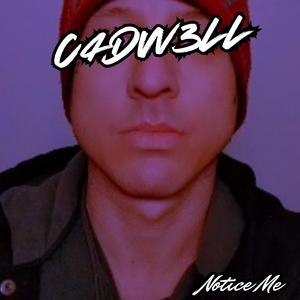 Notice Me