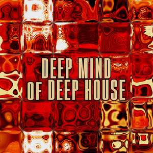 Deep Mind of Deep House