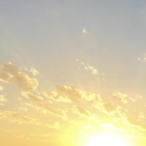 No t voy a gustar 25