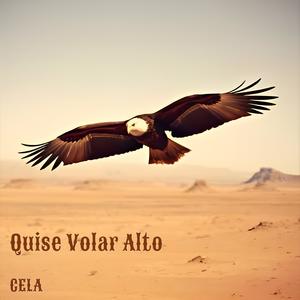 Quise Volar Alto