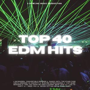 Top 40 EDM Hits