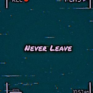 Never Leave (Explicit)