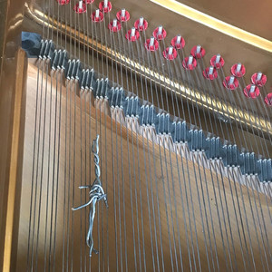 Uno sguardo per piano spinato (feat. Thomas Umbaca)