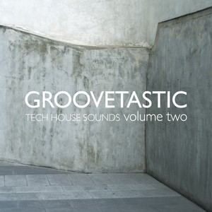 Groovetastic, Vol. 2 - Tech House Sounds