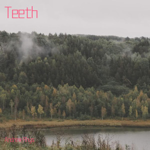 Teeth-