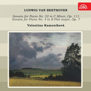 Beethoven: Piano Sonatas