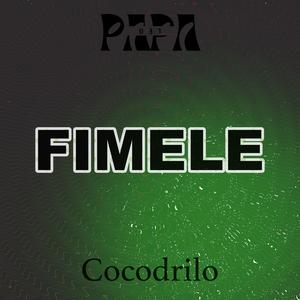 Fimele (feat. Cocodrilo) [Explicit]