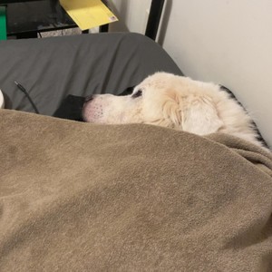 KT! - leave me behind (Remix|Explicit)