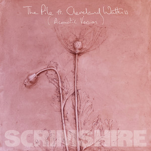 The Pile (Acoustic)