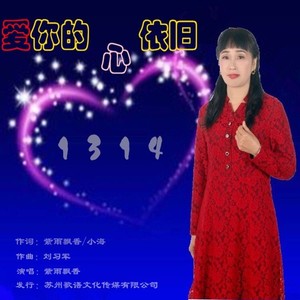 爱你的心依旧【吉特巴舞曲版】