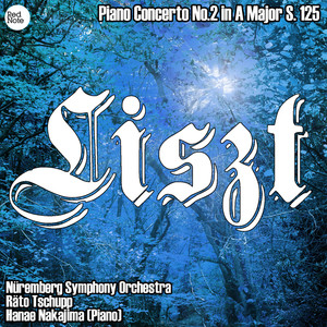 Piano Concerto No.2 in A Major, S. 125 - Adagio - Allegro agitato - Allegro moderato - Allegro deciso - Allegro animato