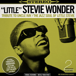 Tribute To Uncle Ray / The Jazz Soul of Little Stevie [The First Two Albums - Digitally Remastered]