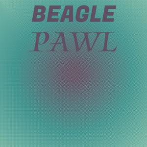 Beagle Pawl