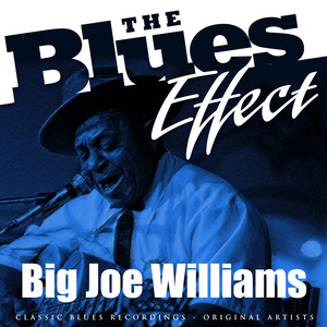 The Blues Effect - Big Joe Williams