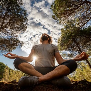 Soft Bars of Quiet Reflection