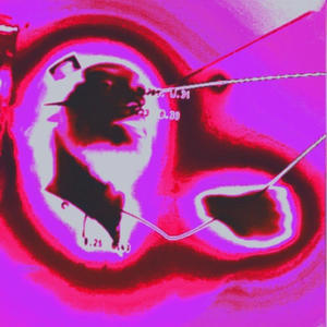 #stopbreathing (Explicit)