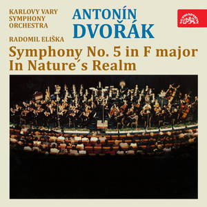 Symphony No. 5 in F Major, Op. 76, B. 54 - IV. Finale. Allegro molto
