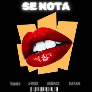 SE NOTA (AUDIO OFICIAL|Explicit)