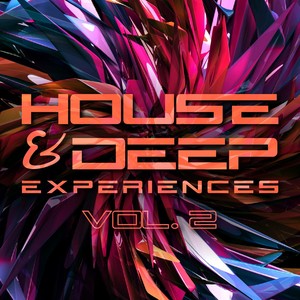 House & Deep Experiences, Vol. 2