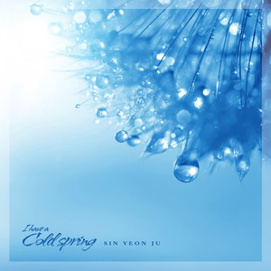 오로라의 밤 (Aurora Night)