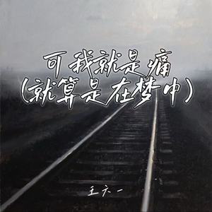 可我就是痛 (就算是在梦中)