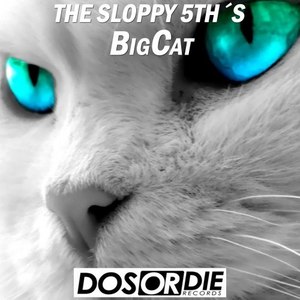 Big Cat (Original Mix)