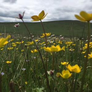 这世界那么多人 (Live)
