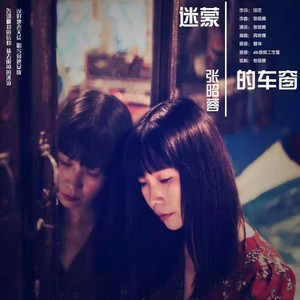 迷蒙的车窗