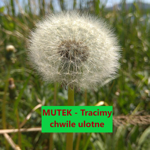 Tracimy Chwile Ulotne