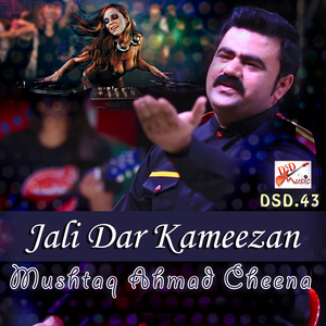 Jali Dar Kameezan - Single