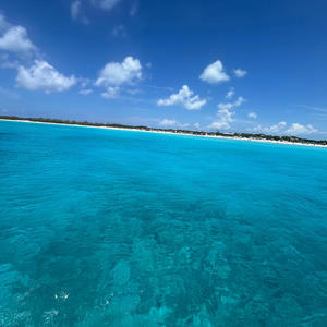 I know (feat. Payrollbrando) (Explicit)