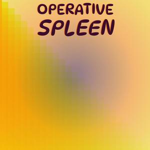 Operative Spleen