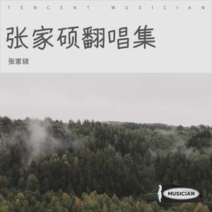 租购 (张家硕 remix)