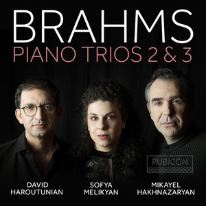 Piano Trio No. 3 in C Minor, Op. 101 - Piano Trio No. 3 in C Minor, Op. 101: IV. Finale. Allegro molto