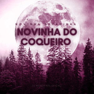 NOVINHA SAFADINHA X NOVINHA DO COQUEIRO (Live) [Explicit]