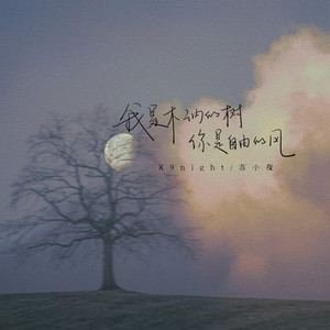 我是木讷的树你是自由的风