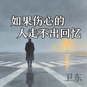 如果伤心的人走不出回忆