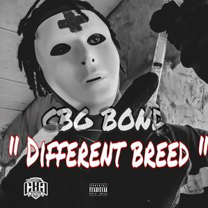 DIFFERENT BREED (Explicit)