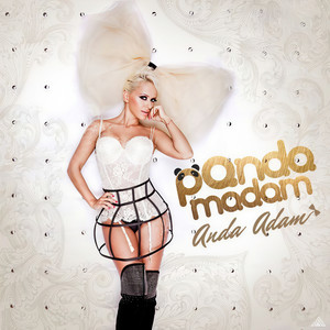 Anda Adam - Panda Madam (Radio Edit)