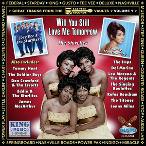 (The Story Of) The In-Between Years