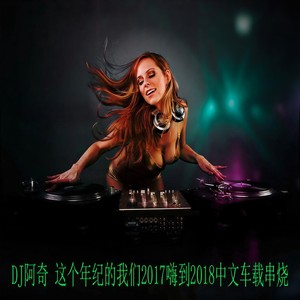 这个年纪的我们2017嗨到2018中文车载串烧 (DJ版)